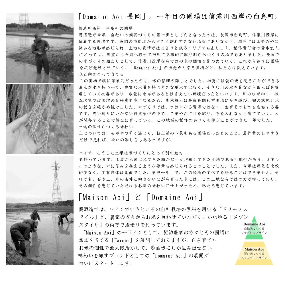 DomaineAoi Nagaoka 葵酒造 日本酒 販売