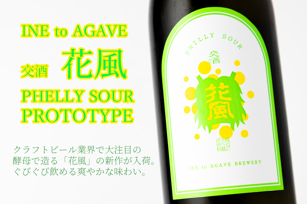 稲とアガベ 稲とアガベ醸造所 秋田県 日本酒 通販