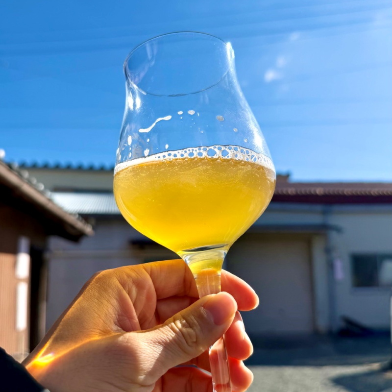 わらび苗(紀伊山地)1000本 ひみつのしゅわしゅわ 畑と麦ときどき女将 750ml 1本 クラフトビール