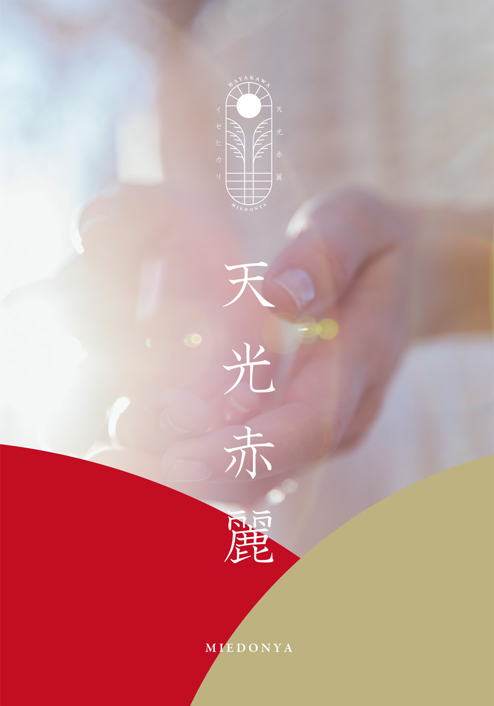 朝 天光赤麗 日本酒 早川酒造部 伊勢志摩せんぐう旅