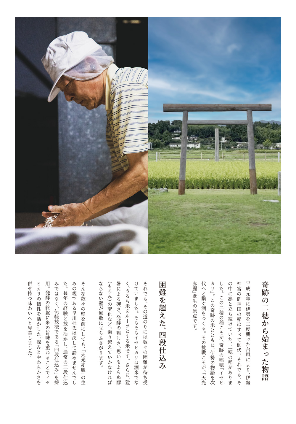 朝 天光赤麗 日本酒 早川酒造部 伊勢志摩せんぐう旅