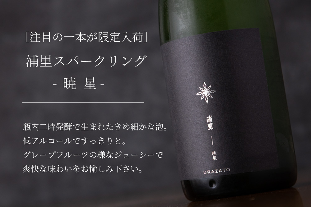 浦里 うらざと 浦里酒造店 茨城県 販売店 特約店